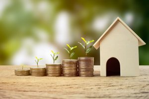 little house with coins
